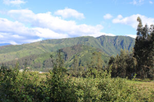 Landscape in Ecuador